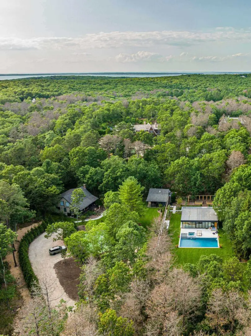 Aerial view of a green residential area with houses and a pool.