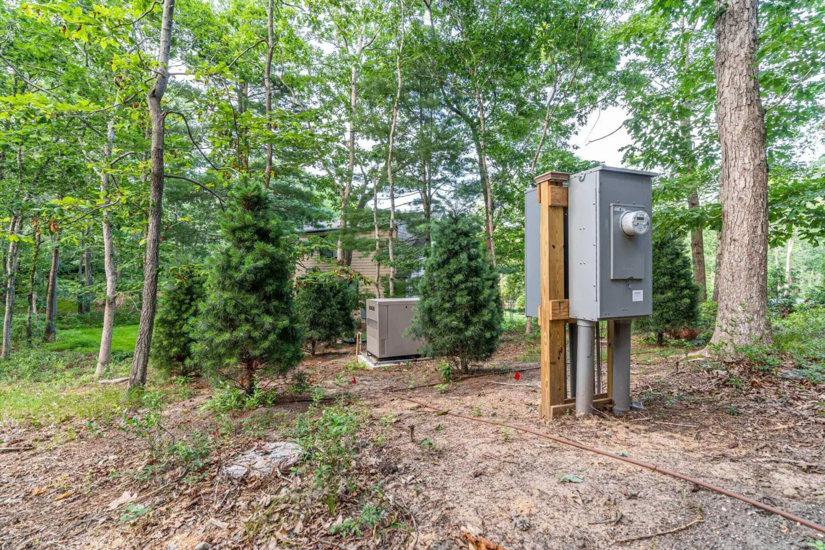 Electrical panel and HVAC unit in a wooded backyard.